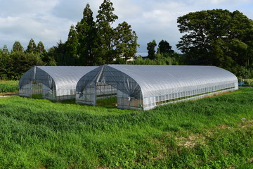 Naklejka premium ビニールハウス