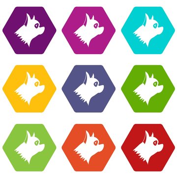 Pinscher dog icon set color hexahedron