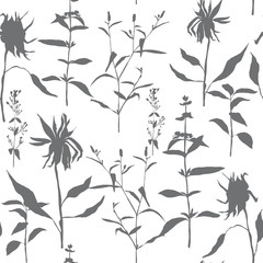 Vector floral seamless pattern with wild meadow flowers, herbs and grasses. Thin delicate line silhouettes of different plants like sunflowers and basil.