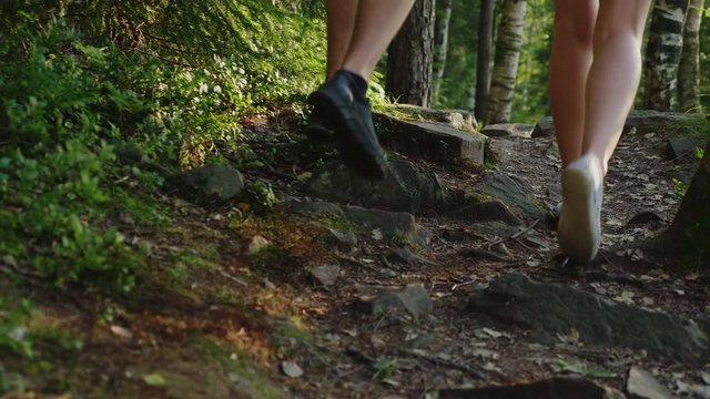 A pair of travelers walk along a narrow mountain path in the forest. In the frame, only the legs are visible, the rear view. Steadicam follow shot