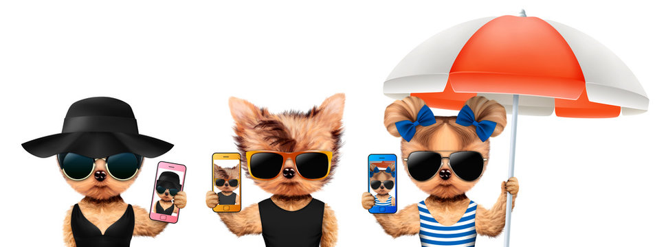 Animals taking selfie in sunglasses. Vacation concept