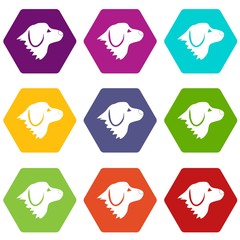 Retriever dog icon set color hexahedron