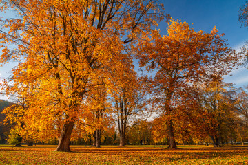 Autumn landscape, castle park Budatin nearby Zilina, Slovakia, central Europe Zilina.