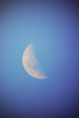 Obraz na płótnie Canvas Moon on a dark-blue background.