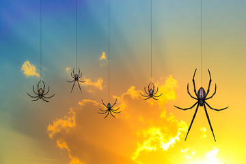 spiders at sunset
