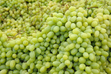 White grape