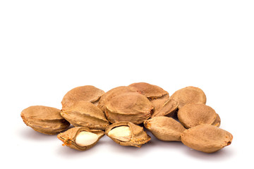 Apricot kernel