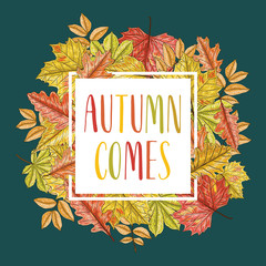  Hand drawn leaves composition. Autumn background. Vector illustration.