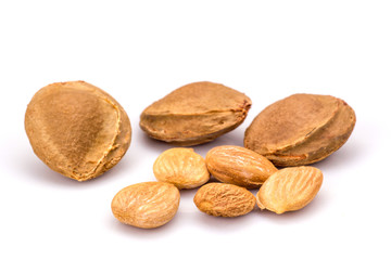 Apricot kernel