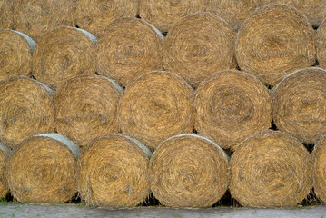 Strohballen rund