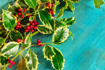 Christmas background with holly leaves and copyspace