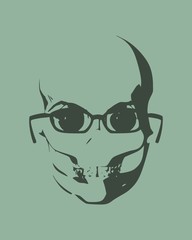 Anatomic skull in glasses. Detailed illustration of human skull.