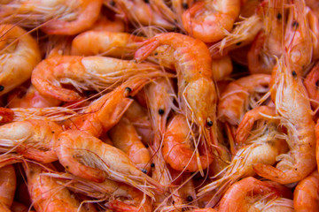 Close-up of boiled shrimps for background