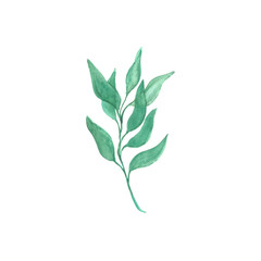 Bright watercolor leaf isolated