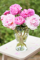 beautiful pink peony flowers bouquet in garden