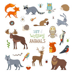 Fototapeta premium Vector set of woodland animals made in cartoon style.