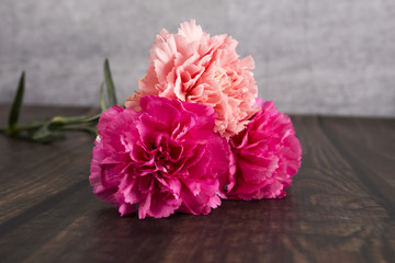 Carnations