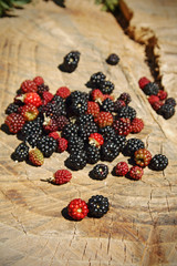 Blackberries
