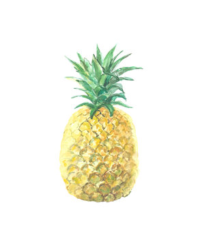 Single picture of pineapple