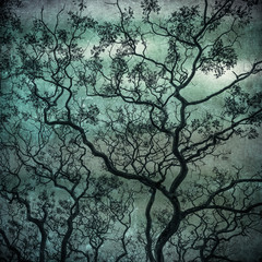 grunge image of dark forest, perfect halloween background