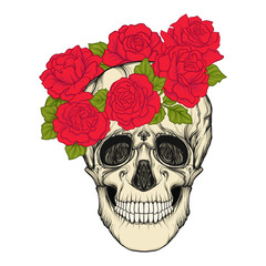 Human skull with a wreath of red roses on the head. Stock line vector illustration.