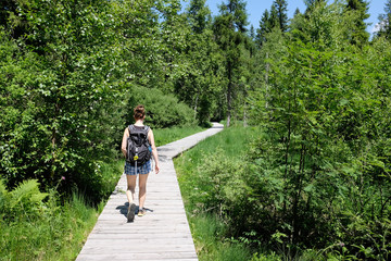 woman hikes trail in the black forest, germany
