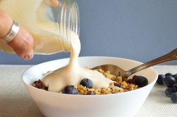 muesli and yogurt