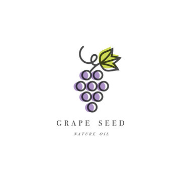 Vector set of packaging design element and icon in linear style - grape seed oil