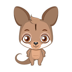 Cute stylized cartoon wallaby illustration ( for fun educational purposes, illustrations etc. )