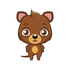 Cute stylized cartoon quokka illustration ( for fun educational purposes, illustrations etc. )