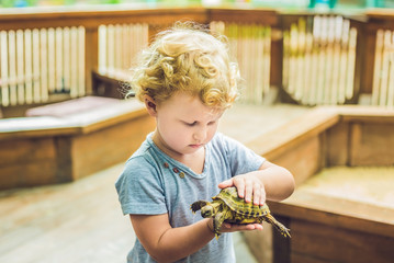 toddler girl caresses and playing with turtle in the petting zoo. concept of sustainability, love...