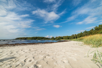 Beach in the south of sweden
