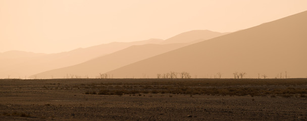 sunset desert dunes, Sossusvlei