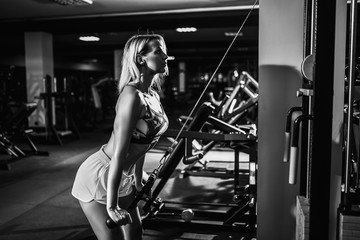 Fototapeta na wymiar Fit well-trained blonde woman workout triceps lifting weights in gym