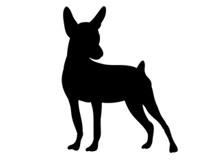 vector, isolated silhouette of a dog is standing