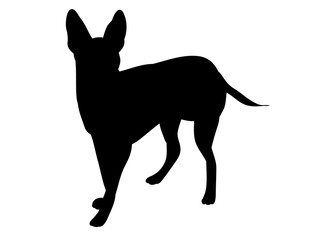 one silhouette of a dog