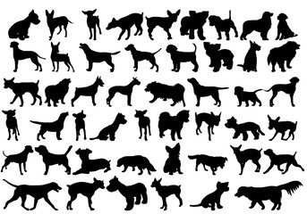 vector, isolated  silhouette of a dog collection