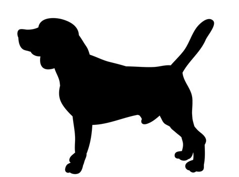  isolated silhouette of a dog is standing