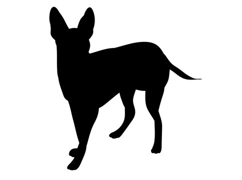 one silhouette of a dog