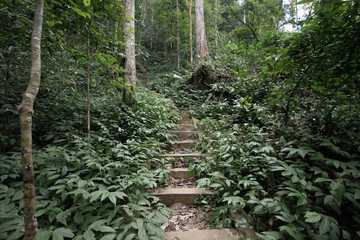 overgrown stairway to Khoun Lang cave in Laos