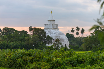 Fototapeta na wymiar The old hemispherical dome, the Yatala Wehera Stupa is more than 2300 years old and an important part of the Sinhalese Kingdom of Ruhuna, situated in the small town Tissamaharama, Sri Lanka