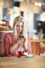 woman or successful working on smart phone at coffee shop interior, female student sitting in university library while using technology, internet distance work