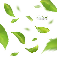 Blurred fresh flying green leaves, quality 3d imitation. Vector