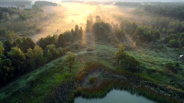 Aerial view. Landscape with lake, forest and misty meadow. High qaulity aerial drone shot, 4K, UHD.