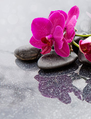 Obraz na płótnie Canvas Spa background with orchid and stone.