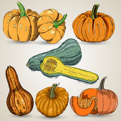 Hand drawn pumpkin set
