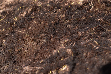 Carpet close up textured abstract copy space background. Detailed abstraction