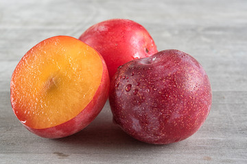 Toronto, Canada: Apriums, complex crossed fruit apricot + plums