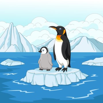 Carton Mother And Baby Penguin On Ice Floe