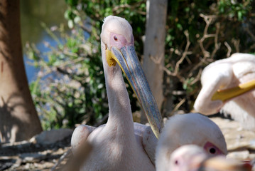 Obraz premium DSC_8449